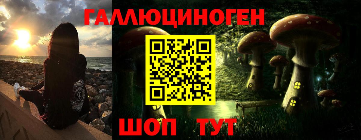 Добрянка  Галлюциногенные грибы GOLDEN TEACHER  Галлюциногенные грибы прущие грибы  купить наркотики цена  Вход с VPN 